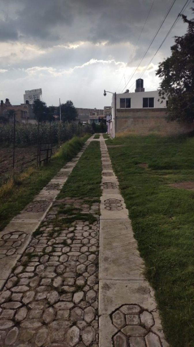 Terreno en venta en El Calvario Tepanuaya, Mexicaltzingo — foto 1 de 6