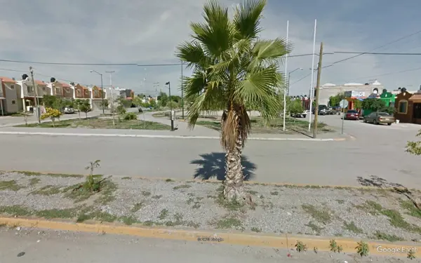 Terreno en renta en Ejido Ana, Torreón — foto 2 de 3