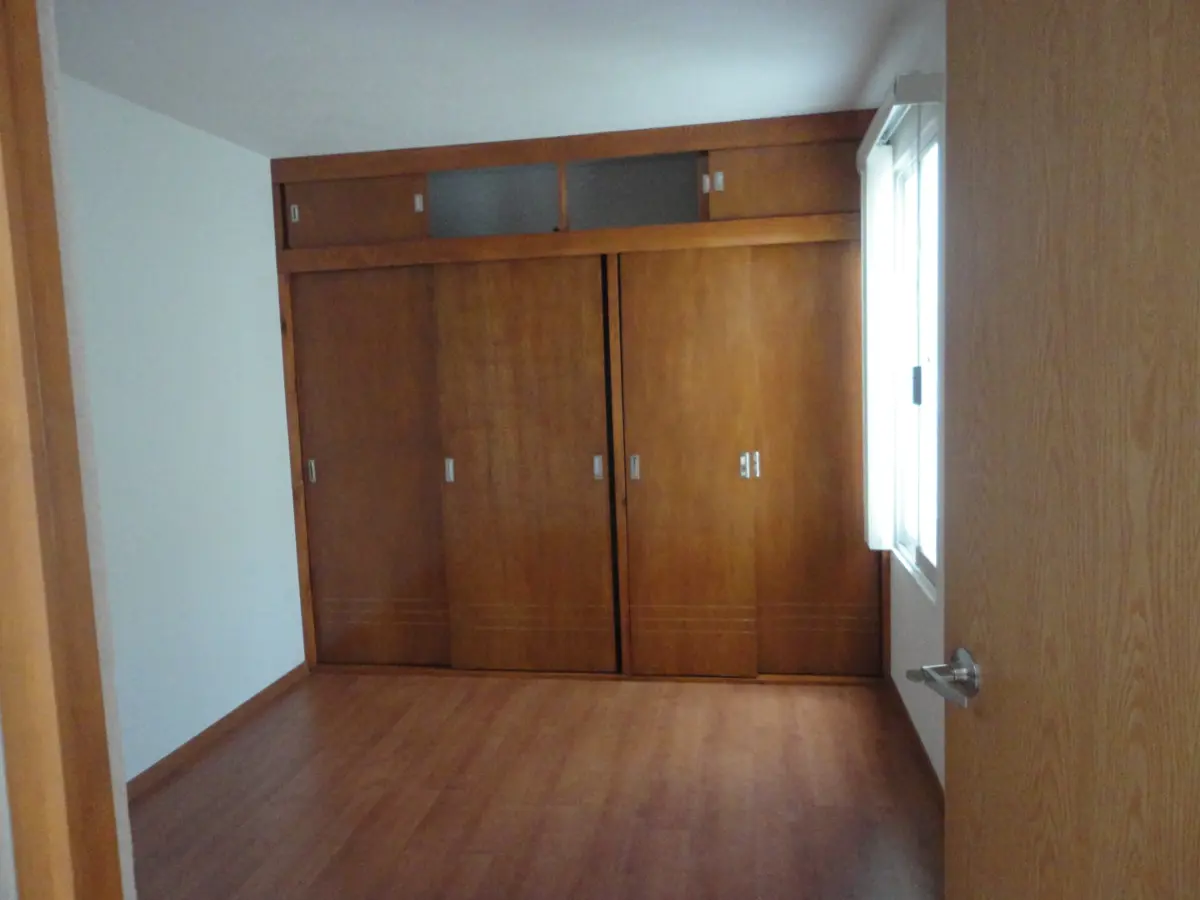 Imagen 5