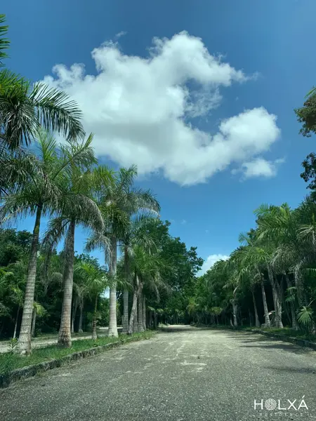 Terreno en venta en Leona Vicario, Benito Juárez — foto 3 de 16