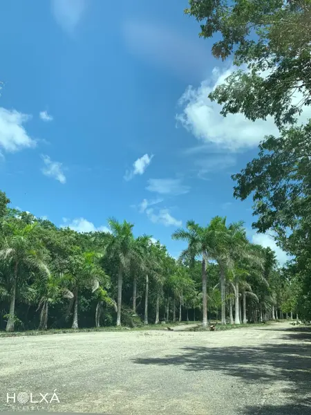 Terreno en venta en Leona Vicario, Benito Juárez — foto 2 de 16