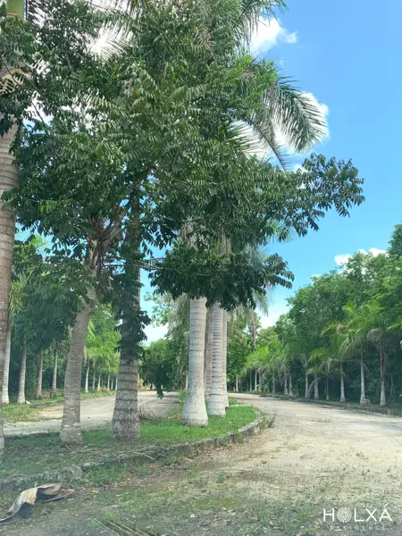 Terreno en venta en Leona Vicario, Benito Juárez — foto 3 de 16