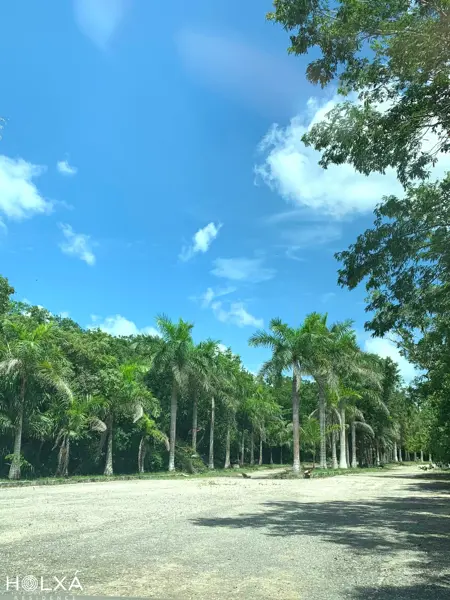Terreno en venta en Leona Vicario, Benito Juárez — foto 3 de 16