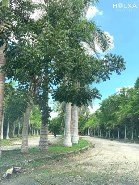 Terreno en venta en Leona Vicario, Benito Juárez — foto 2 de 16