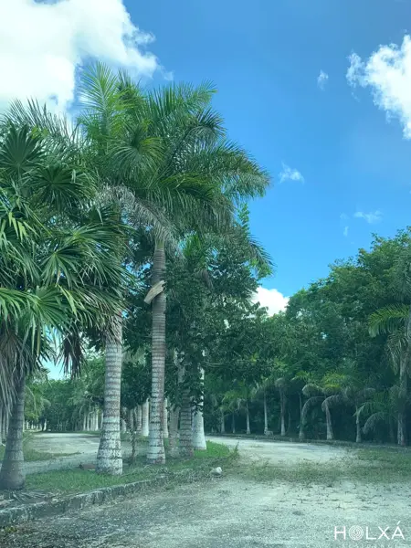 Terreno en venta en Leona Vicario, Benito Juárez — foto 2 de 16