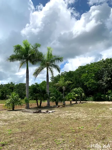 Terreno en venta en Leona Vicario, Benito Juárez — foto 2 de 17