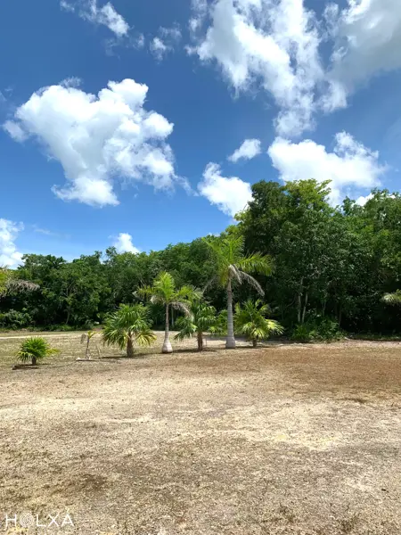 Terreno en venta en Leona Vicario, Benito Juárez — foto 3 de 17