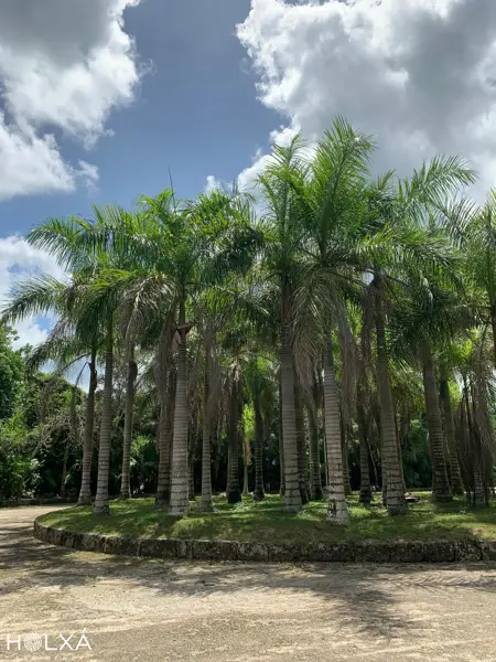 Terreno en venta en Leona Vicario, Benito Juárez — foto 3 de 16