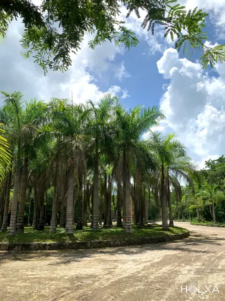 Terreno en venta en Leona Vicario, Benito Juárez — foto 3 de 22