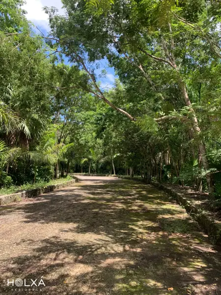 Terreno en venta en Leona Vicario, Benito Juárez — foto 2 de 22