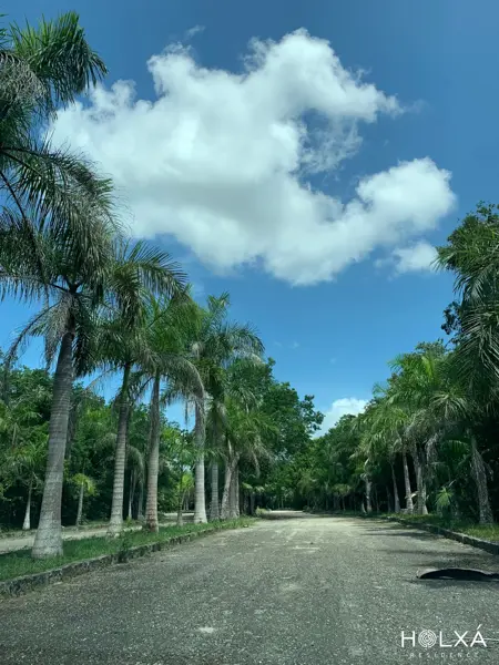 Terreno en venta en Leona Vicario, Benito Juárez — foto 3 de 20