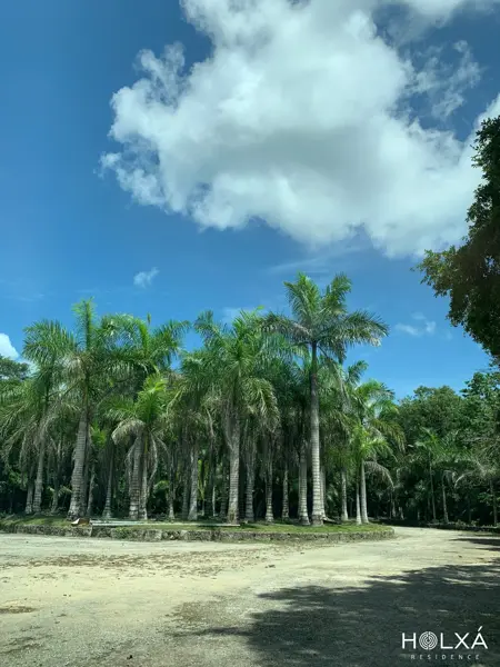 Terreno en venta en Leona Vicario, Benito Juárez — foto 2 de 36