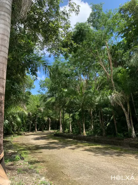 Terreno en venta en Leona Vicario, Benito Juárez — foto 3 de 36
