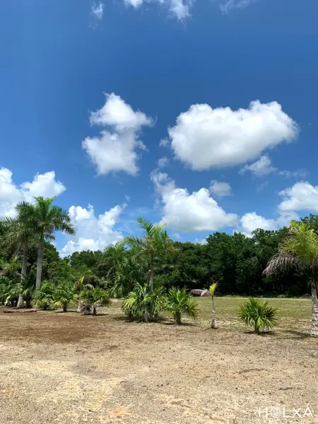 Terreno en venta en Leona Vicario, Benito Juárez — foto 3 de 18