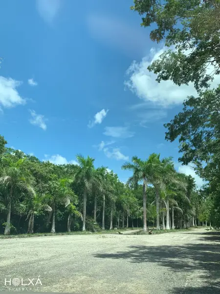 Terreno en venta en Leona Vicario, Benito Juárez — foto 2 de 26