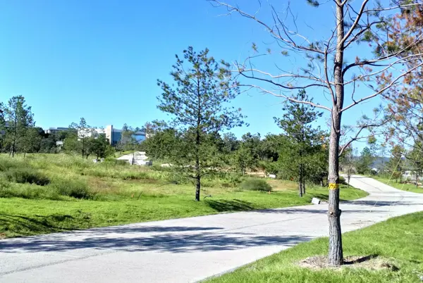 Terreno en venta en Virreyes Residencial, Zapopan — foto 3 de 6
