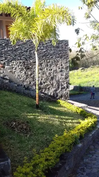Casa en venta en El Chivato (Providencia), Villa de Álvarez — foto 3 de 10