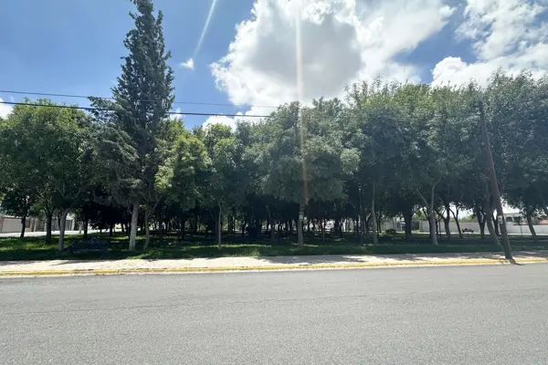 Terreno en venta en Valle San Agustin, Saltillo — foto 3 de 4