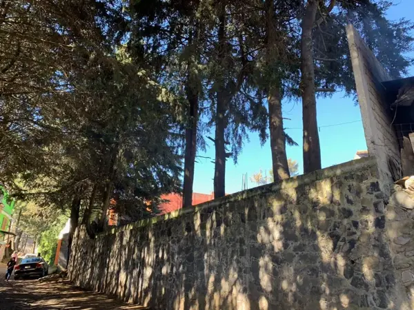 Terreno en venta en Santo Tomas Ajusco, Tlalpan — foto 2 de 10