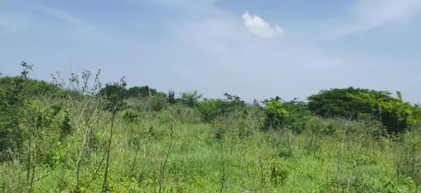 Terreno en Soledad de Doblado Centro, Soledad de Doblado, Veracruz de Ignacio de la Llave
