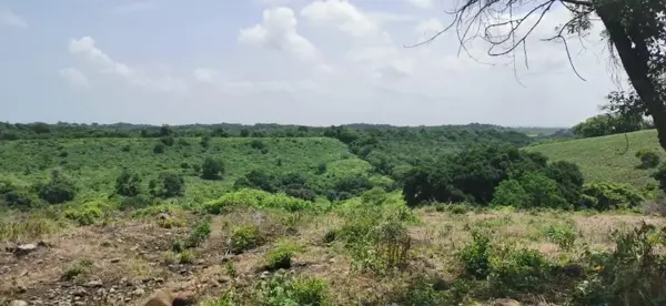 Terreno en venta en Soledad de Doblado Centro, Soledad de Doblado — foto 2 de 16