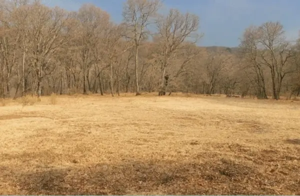 Terreno en venta en Villa del Carbón, Villa del Carbón, México