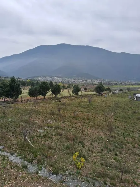 Terreno en Los Lirios, Arteaga, Coahuila de Zaragoza