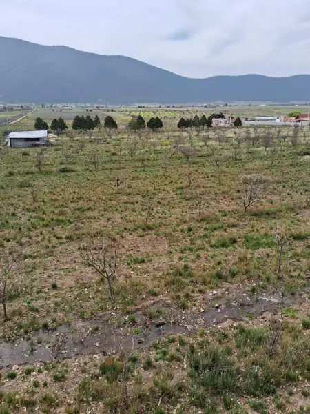 Terreno en venta en Los Lirios, Arteaga — foto 2 de 2