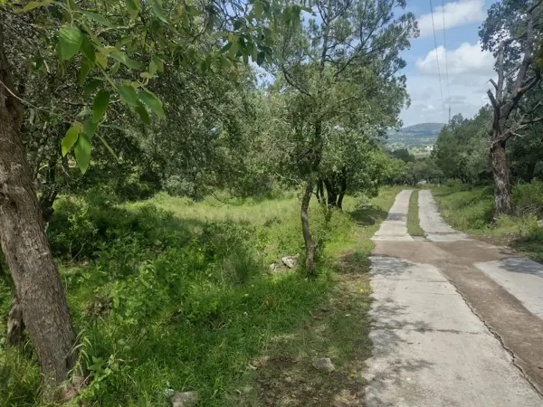 Terreno en venta en Ocotitla 3ra Secc, Tetla de la Solidaridad — foto 2 de 15