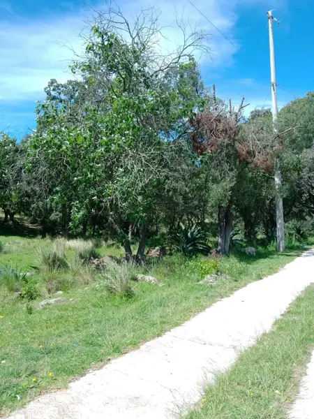 Terreno en venta en Ocotitla 3ra Secc, Tetla de la Solidaridad — foto 3 de 15
