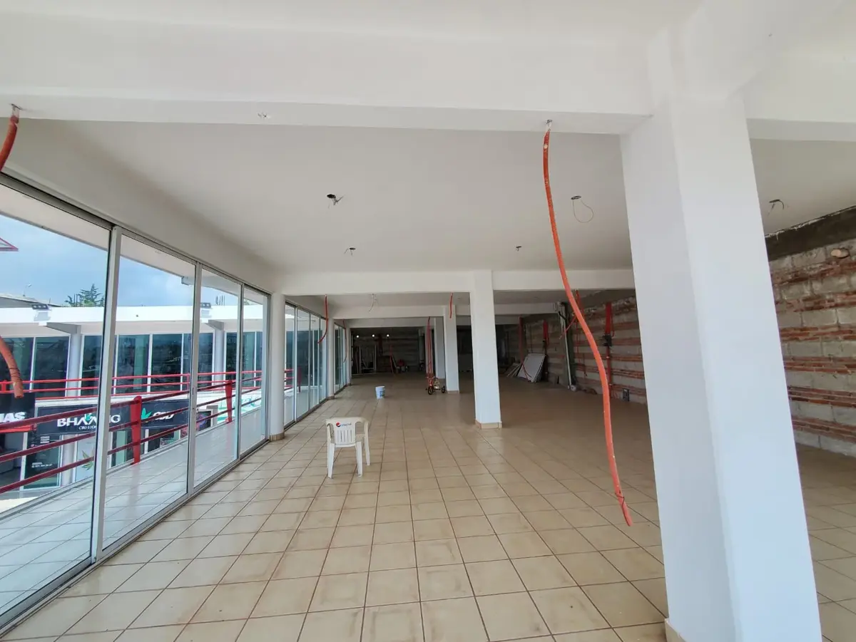 Imagen 4