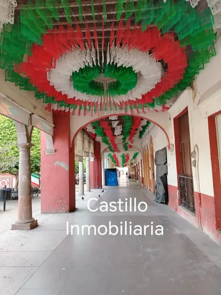Casa en venta en Abasolo Centro, Abasolo — foto 3 de 65