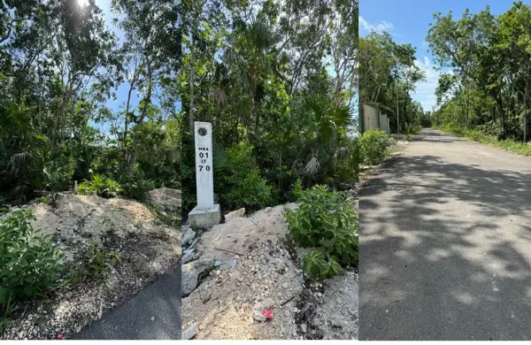 Terreno en venta en Ya Ax Tulum, Tulum — foto 3 de 9