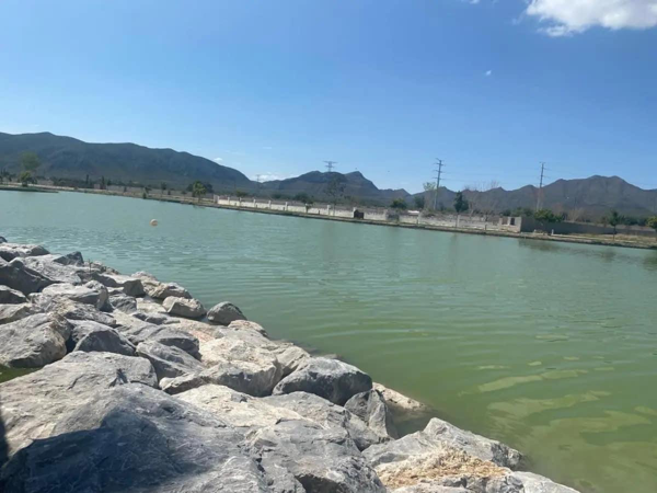 Terreno en venta en Ciudad Juárez, Lerdo — foto 3 de 10