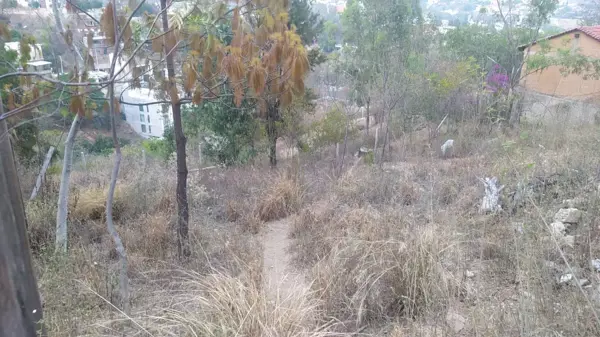Terreno en venta en Guadalupe Victoria, Oaxaca de Juárez — foto 3 de 7