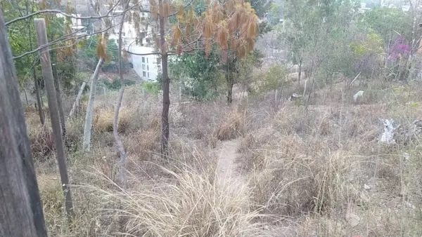 Terreno en venta en Guadalupe Victoria, Oaxaca de Juárez — foto 2 de 7