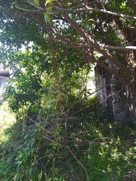 Terreno en venta en Ignacio Zaragoza, Veracruz — foto 3 de 7