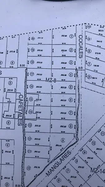 Terreno en venta en San Pedro Pochutla Centro, San Pedro Pochutla — foto 3 de 3