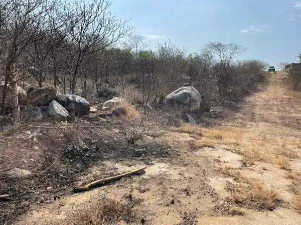 Terreno en venta en San Pedro Pochutla Centro, San Pedro Pochutla — foto 2 de 3