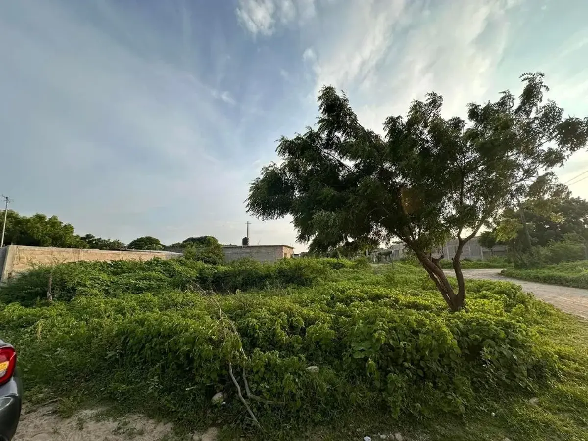 Terreno en venta en Venustiano Carranza, Arriaga — foto 1 de 3
