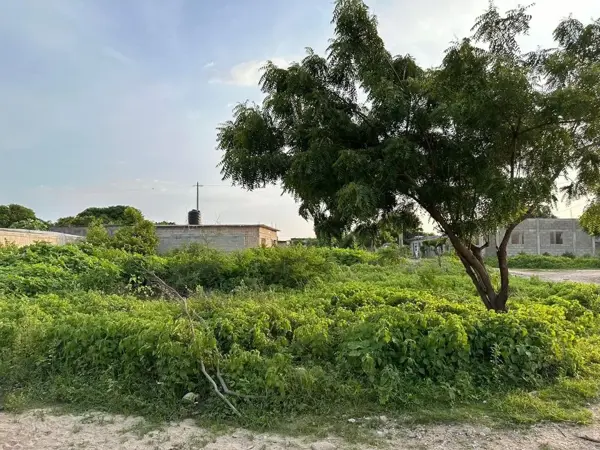 Terreno en venta en Venustiano Carranza, Arriaga — foto 2 de 3