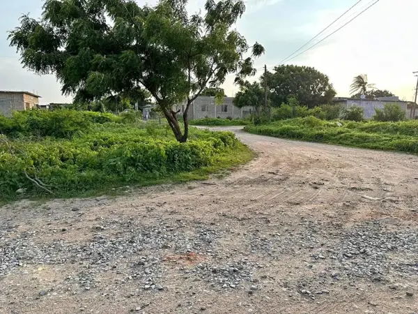 Terreno en venta en Venustiano Carranza, Arriaga — foto 3 de 3