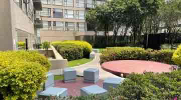 Departamento en venta en Jardines del Pedregal, Álvaro Obregón — foto 3 de 24
