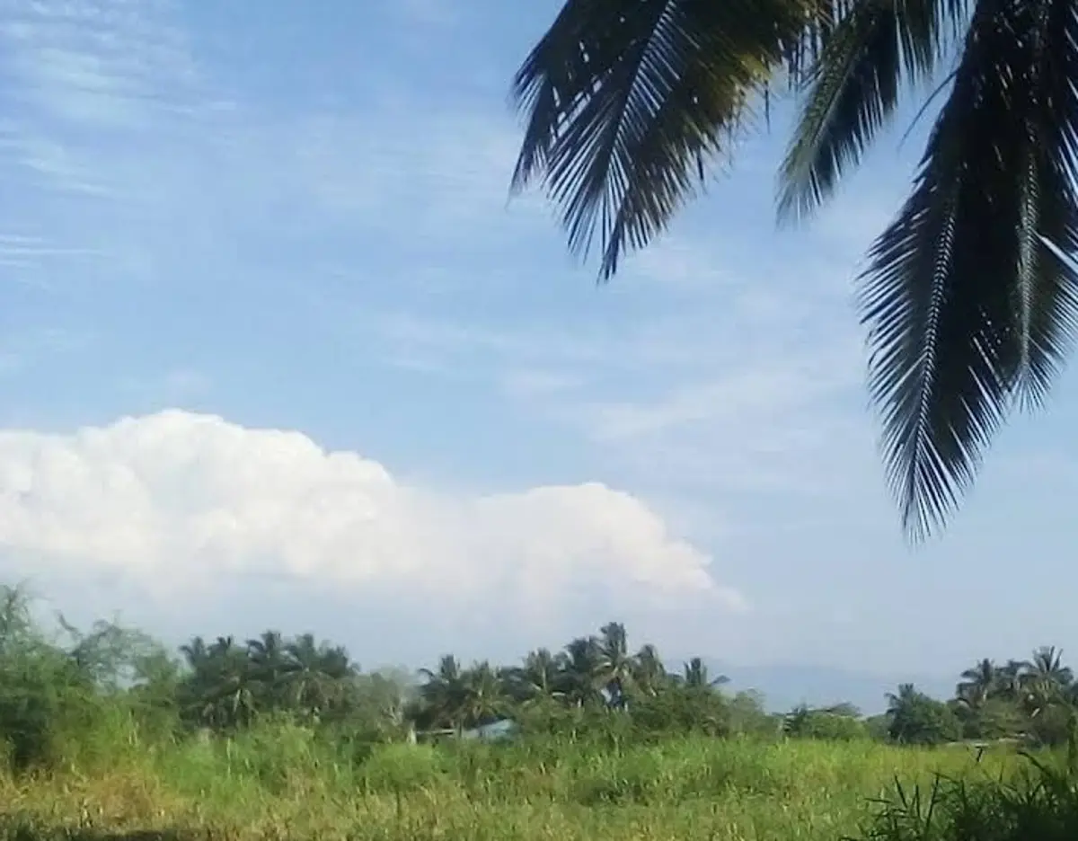 Terreno en venta en Cerro de Ortega, Tecomán