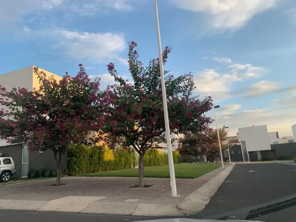 Casa en venta en El Mirador, El Marqués — foto 3 de 23