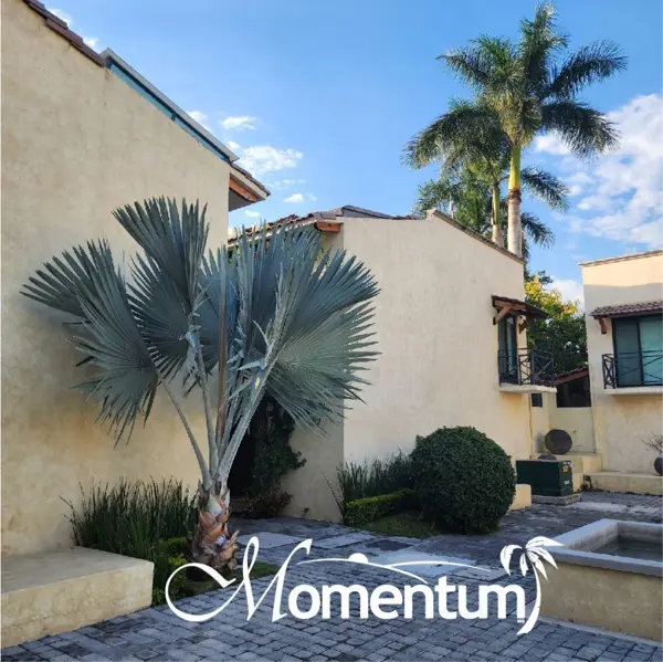 Casa en venta en Atlatlahucan, Atlatlahucan — foto 3 de 19