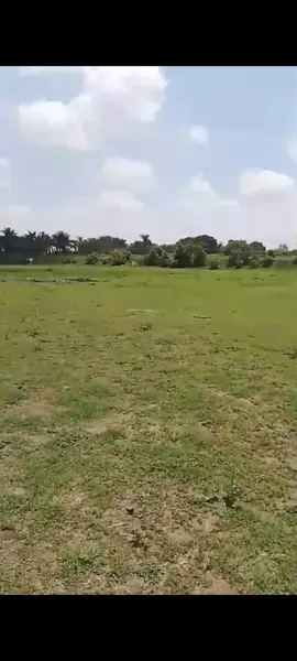 Terreno en venta en La Gigantera, Tlajomulco de Zúñiga — foto 2 de 64