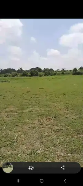 Terreno en venta en La Gigantera, Tlajomulco de Zúñiga — foto 3 de 64