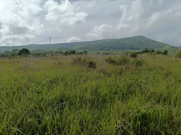 Finca-Rancho en venta en San Isidro, Ocozocoautla de Espinosa, Chiapas