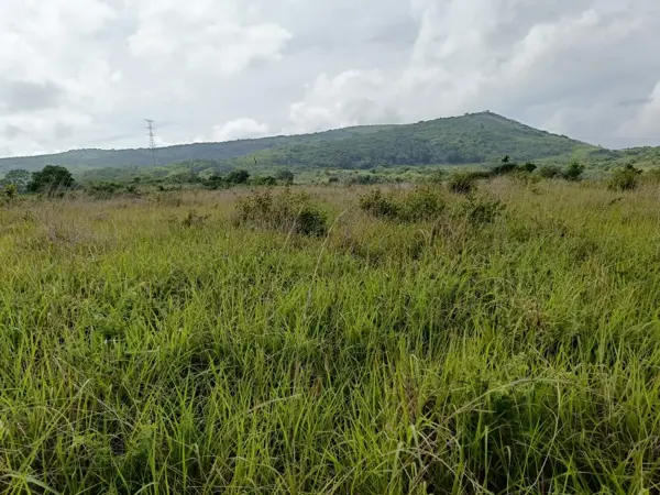 Finca-Rancho en venta en San Isidro, Ocozocoautla de Espinosa — foto 2 de 16